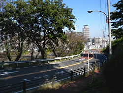 いろは坂から駅前を望む