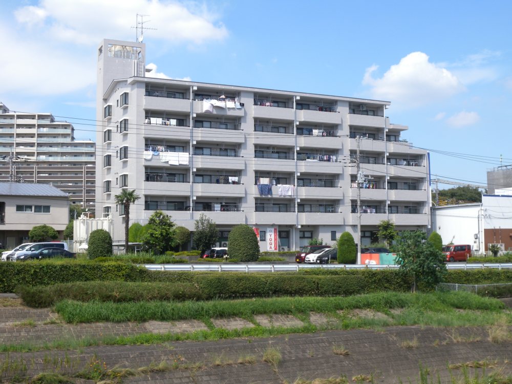 セタリア
